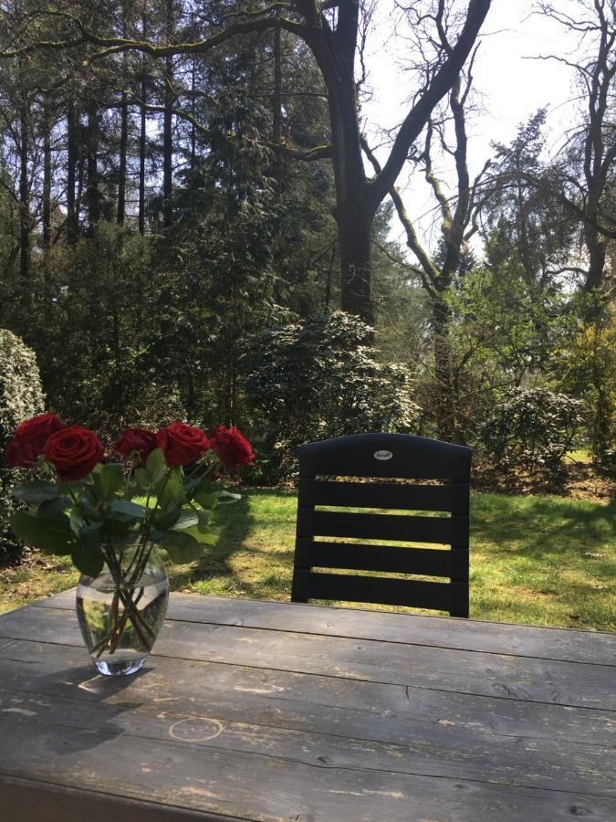 Geschakelde Bungalow Op De Veluwe "De Eekhoorn" Otterlo Zewnętrze zdjęcie
