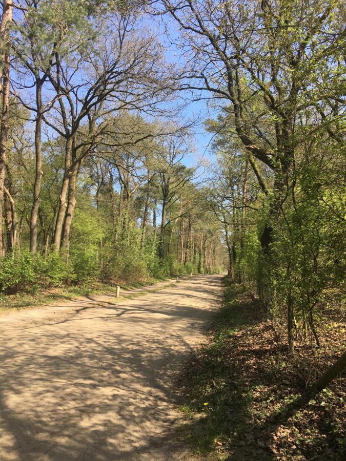 Geschakelde Bungalow Op De Veluwe "De Eekhoorn" Otterlo Zewnętrze zdjęcie