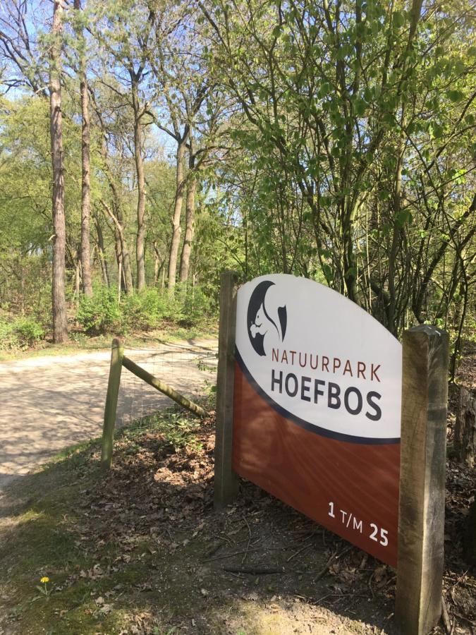 Geschakelde Bungalow Op De Veluwe "De Eekhoorn" Otterlo Zewnętrze zdjęcie
